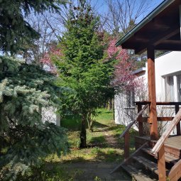 COTTAGES AND SUMMER HOUSES