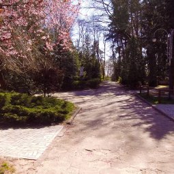 COTTAGES AND SUMMER HOUSES