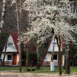COTTAGES AND SUMMER HOUSES