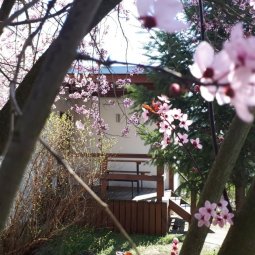 COTTAGES AND SUMMER HOUSES