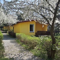 COTTAGES AND SUMMER HOUSES