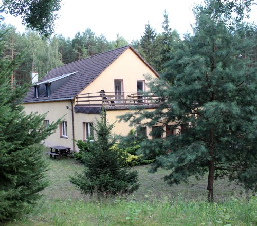 Odgłosy przyrody
