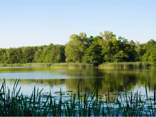 Teren przemęckiego parku krajobrazowego