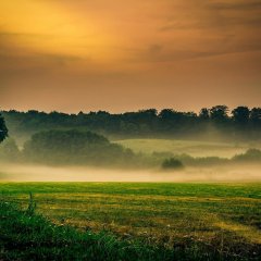 Waldbaden mit Barbara M. Jakob