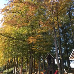 Pilzwanderung in Wahlde