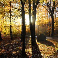 So. 12. April 2026 Waldbaden