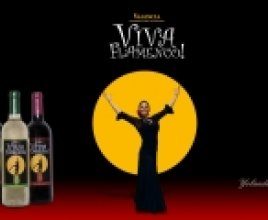 Viva Flamenco show