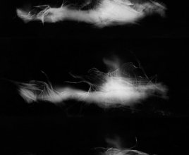 Wystawa Cztery Spojrzenia/Four Vievs