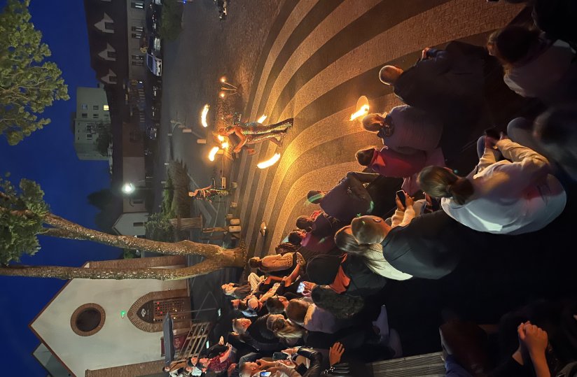 Pokaz Fire Show - Teatr Ognia