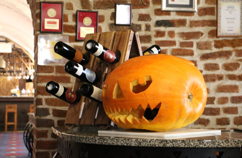 BAL HALLOWEEN - Día de Muertos 2025