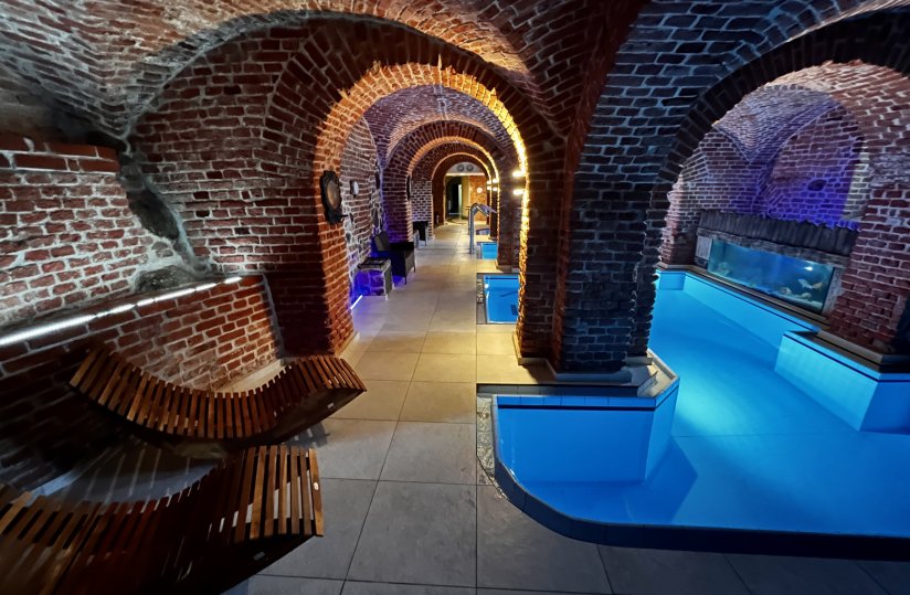 Swimming pool in the gothic dungeon