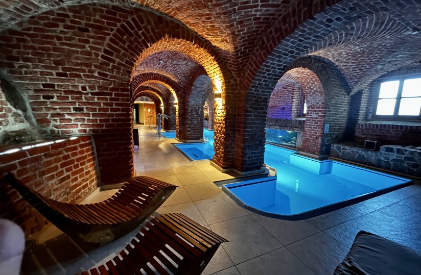 Swimming pool in the gothic dungeon