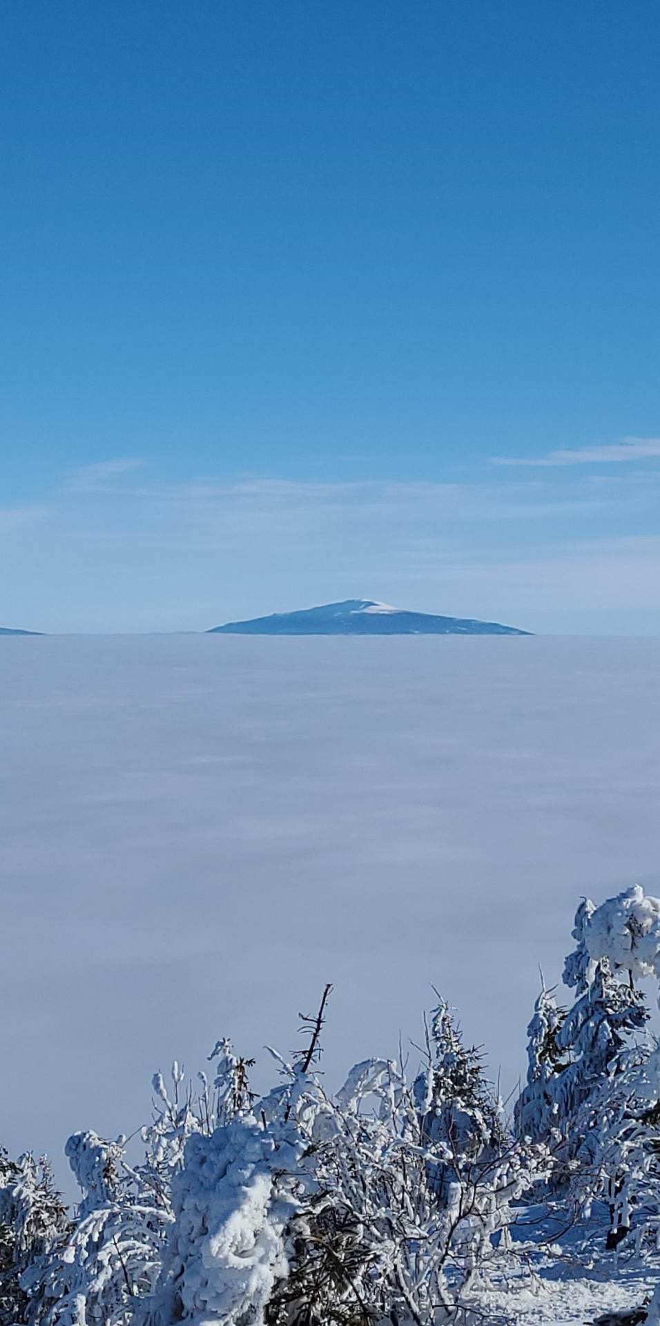 Morze Mgieł w Beskidach