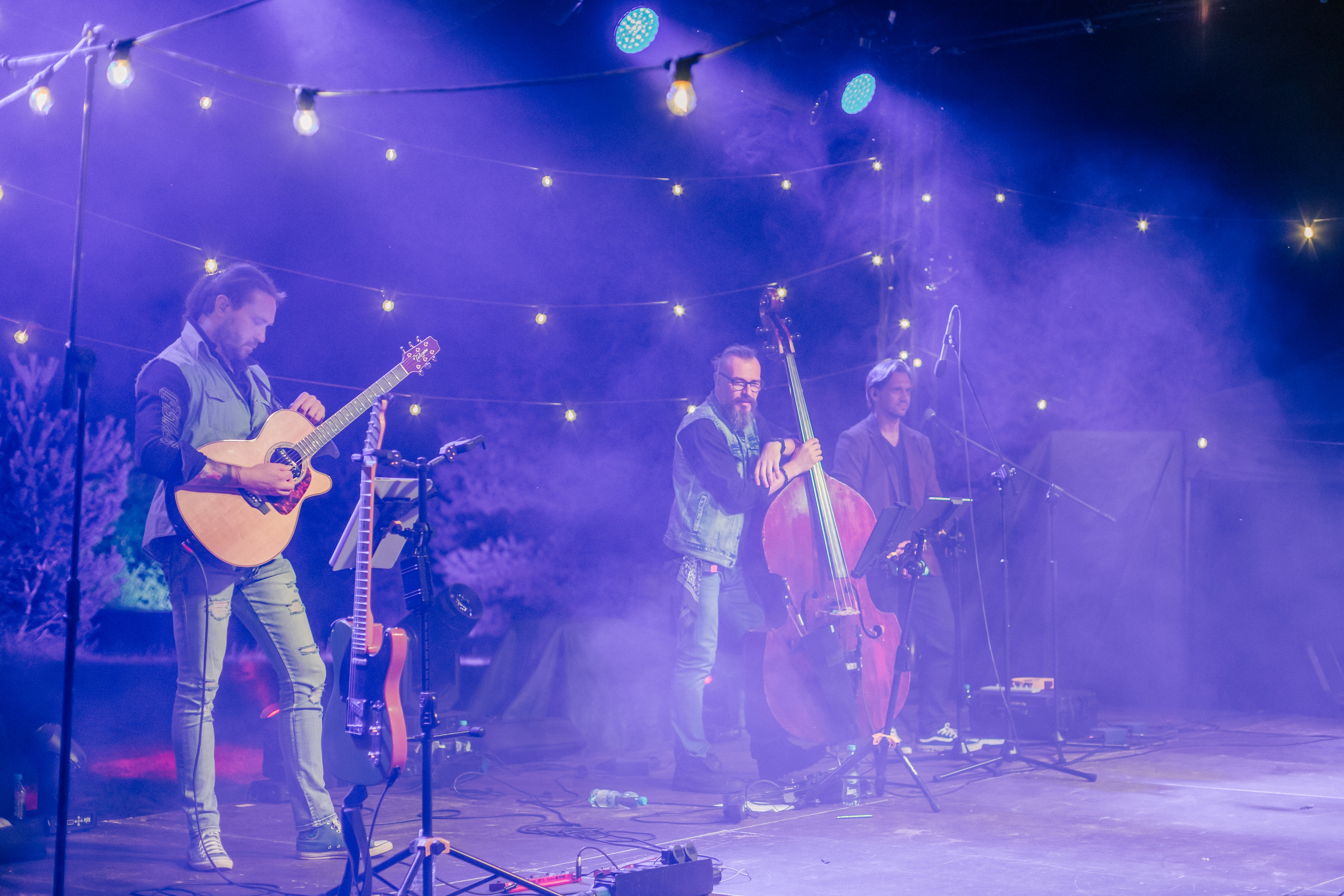 Festiwal 2