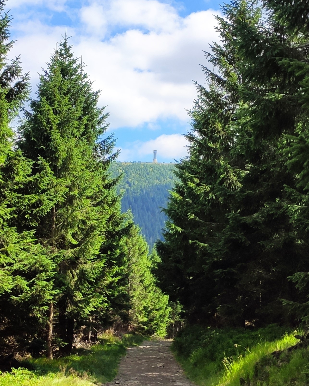 Widok na Śnieżnik z Czarnej Góry